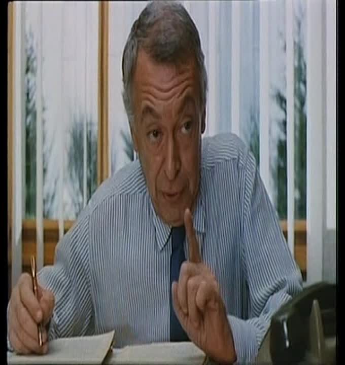 Fais Gaffe A La Gaffe - 1981 - French Dvdrip DivX