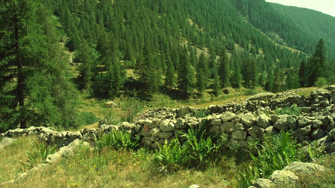 ⁣Die Winzlinge Operation Zuckerdose 2013 German AC3 1080p x265-FUNXDTV