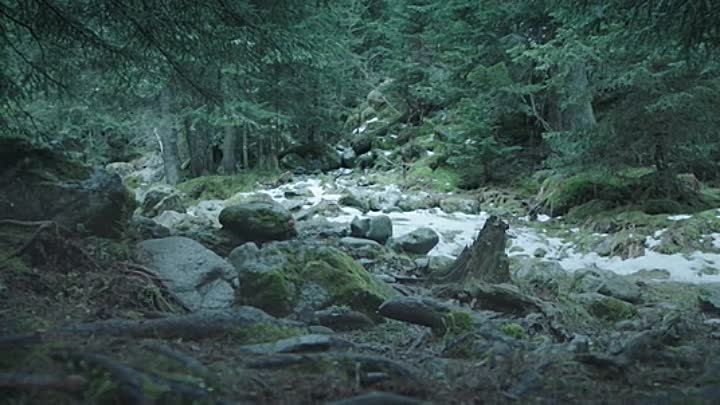 ⁣Die Winzlinge 2 Abenteuer in der Karibik 2019 German AC3 BDRip x264-MULTiPLEX