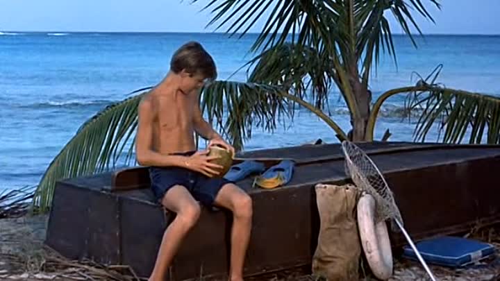 Flippers neue Abenteuer German 1964 DVDRiP XViD-HVC