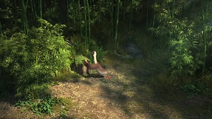 Gans im Glueck 2017 German AC3D BDRip X264-SHOWE