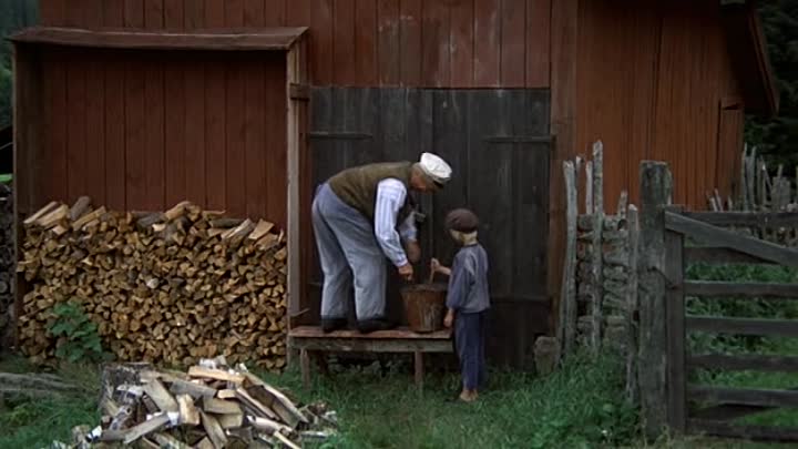 ⁣Michel aus Loenneberga Michel muss mehr Maennchen machen 1972 German DVDRip X