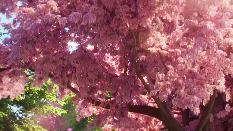 ⁣Minions 2 Auf der Suche nach dem Mini-Boss 2022 GERMAN AC3 DUBBED 720p WEB h264-JAJA