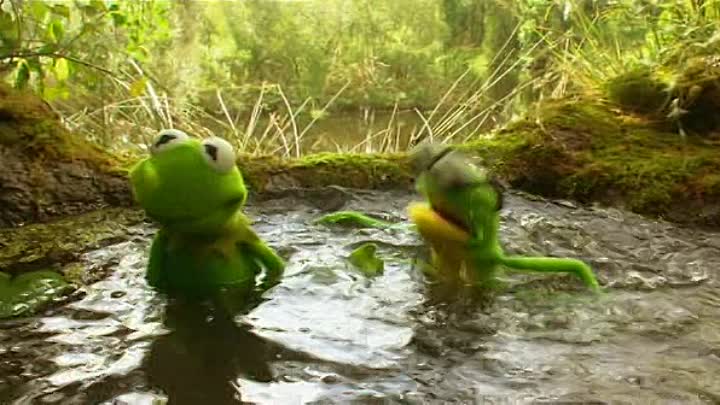 Kermit der Frosch German 2002 DVDRip XviD