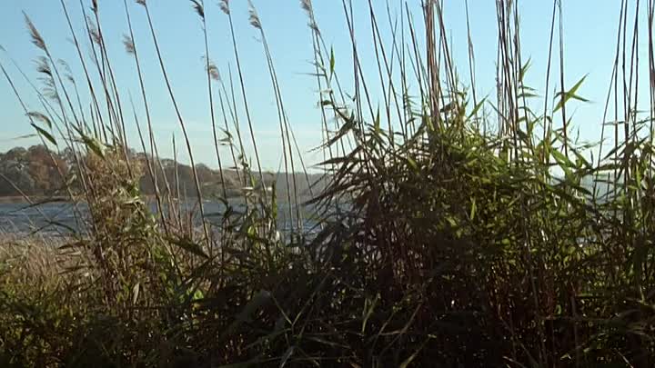 Immenhof 1973 Die Zwillinge vom Immenhof German SD BDRip x264