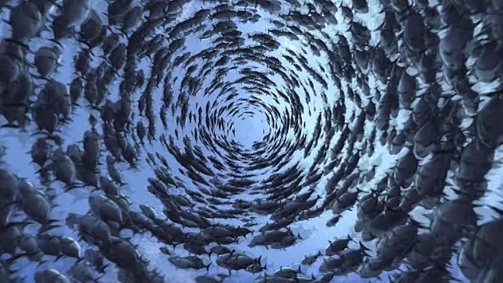 Kaluoka Hina Das Zauberriff German 2004 AC3 MERRY XMAS BDRiP x2