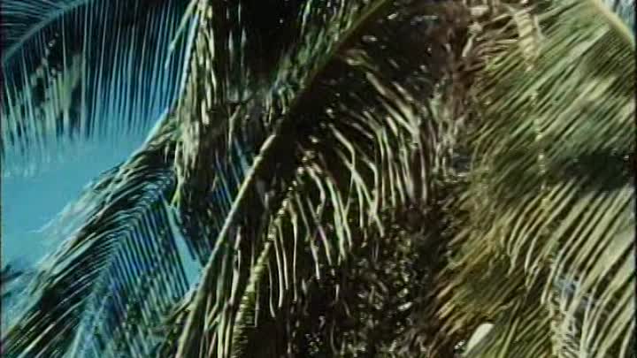 ⁣Film 03 Pippi in Taka-Tuka-Land