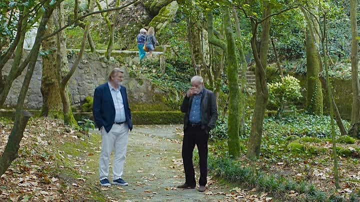 Frankie 2019 FRENCH BDRiP XViD-STVFRV