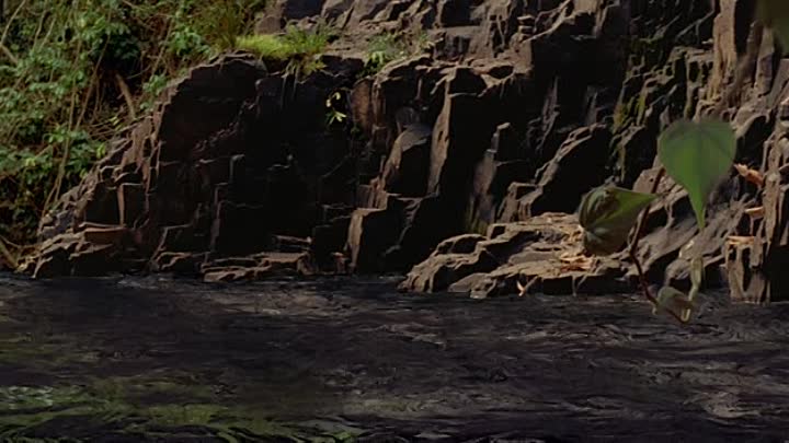 Walt Disneys Dinosaurier GERMAN 2000 DVDRiP XviD iNTERNAL-HACO