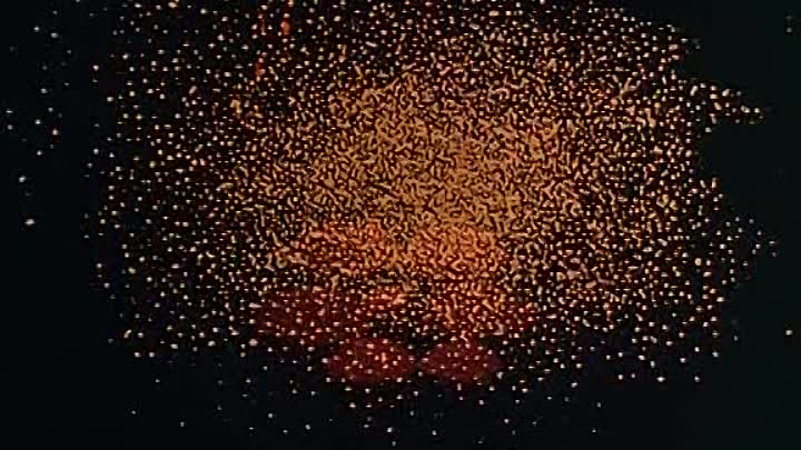 Walt Disneys Fantasia German 1940 DVDRiP XviD iNTERNAL