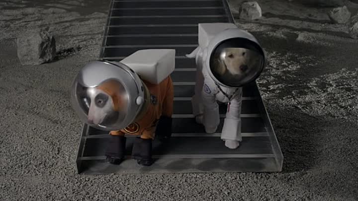 ⁣Walt Disneys Space Buddies Mission Im Weltraum German 2009 DVDRip XviD-CTL