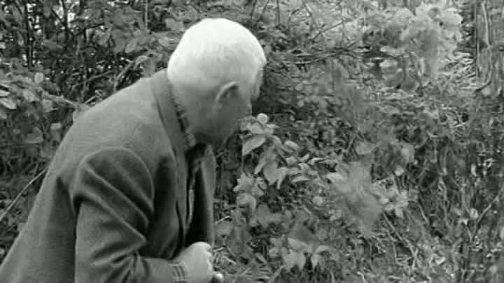 Jean Gabin - 1965 - Le Tonnerre De Dieu French Dvdrip DivX