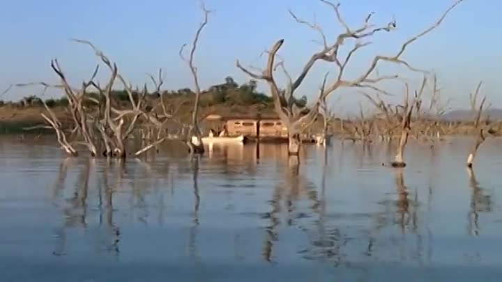 ⁣Itinéraire d un Enfant Gate 1988 FRENCH WEBRip x264