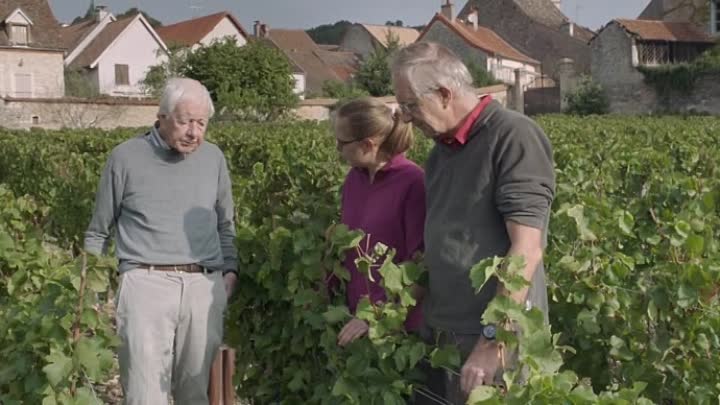 L Ame Du Vin 2020 FRENCH HDRip XviD-PREUMS