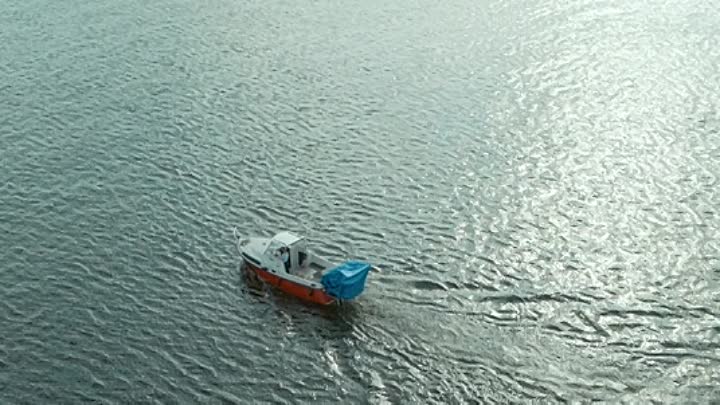 ⁣L Annee du Requin 2022 FRENCH BDRip x264-Ulysse