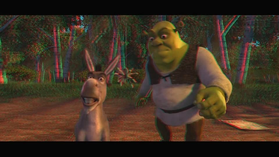 Shrek 3D Dvdrip French