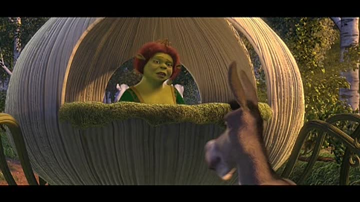 ⁣Shreks Thrilling Tales 2012 FRENCH DVDRiP XViD-ARTEFAC