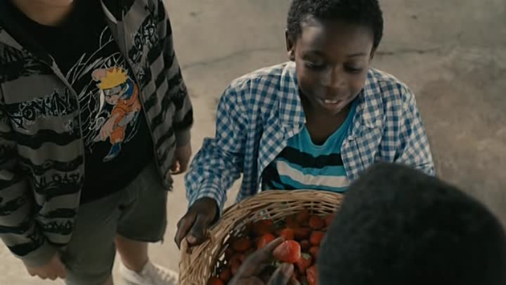 La Cite Rose 2012 FRENCH DVDRiP XViD-AViTECH