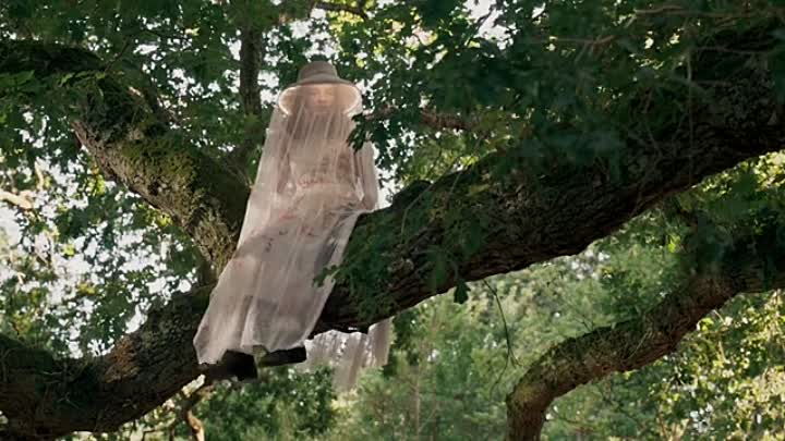 La Grande Magie 2022 FRENCH HDRip x264-DDLPZ