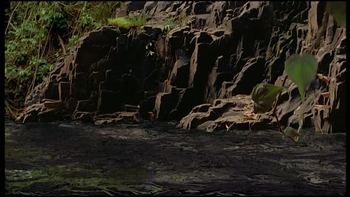 ⁣Walt Disney - Dinosaure French Dvdrip DivX