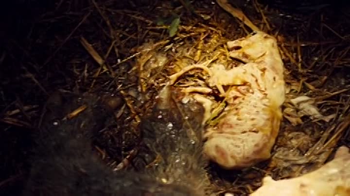 La Traque 2010 FRENCH DVDRiP XViD-SLiM