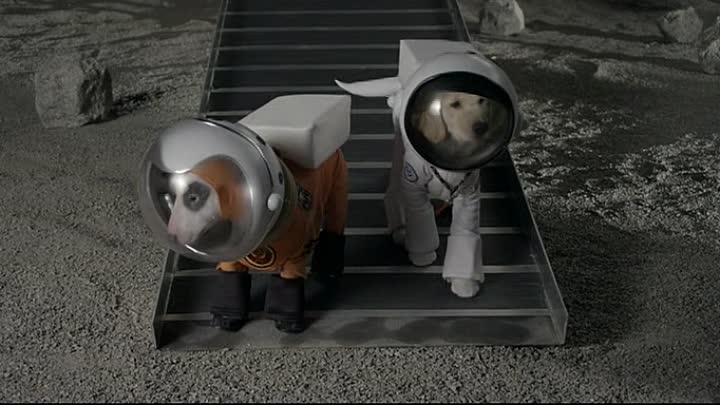 Space Buddies FRENCH DVDRip XviD
