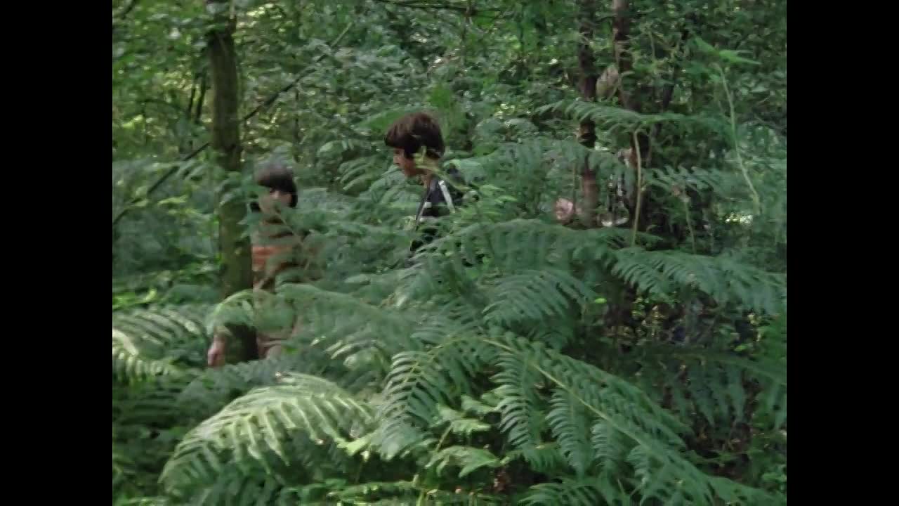 Five Fall Into Adventure -Part 1- HQ S02E07