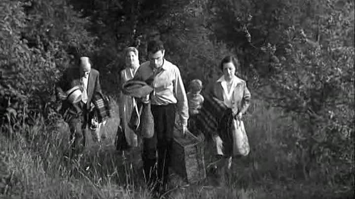 ⁣Louis De Funes - 1956 - Papa Maman Ma Femme Et Moi French Dvdrip XviD