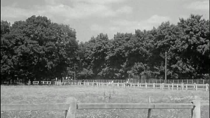 Louis De Funes - 1956 - Courte Tete French Dvdrip XviD