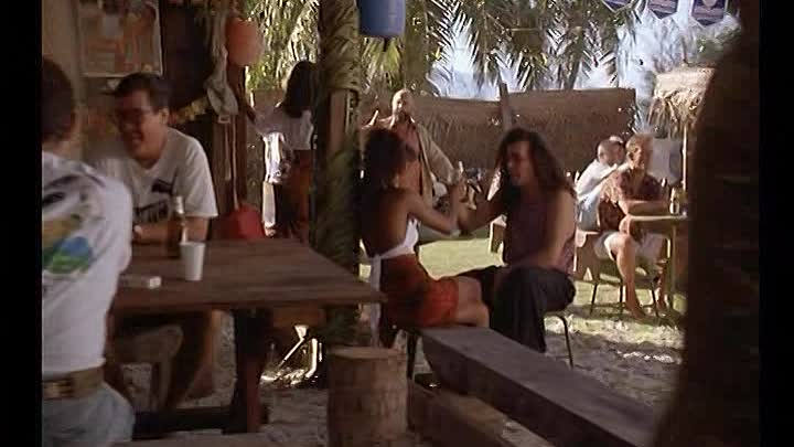 Les Faussaires 1994 French Dvdrip DivX