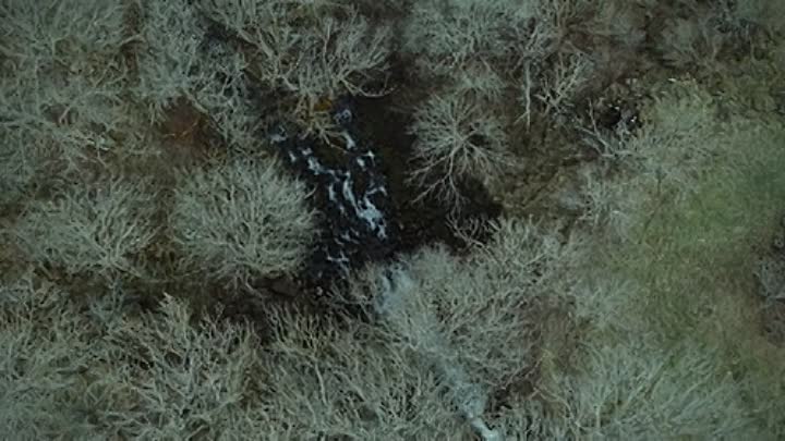 Mastemah 2022 FRENCH HDRip x264-EXTREME