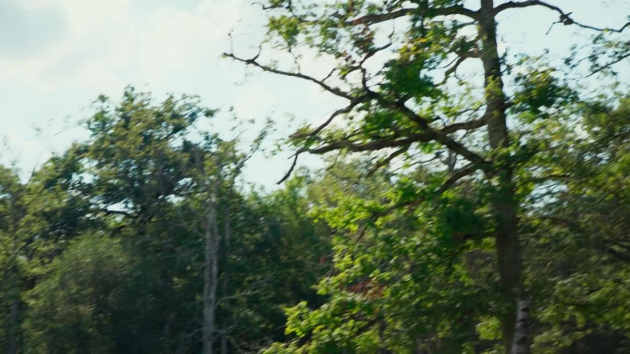 L Ecole Buissonniere 2017 FRENCH FRENCH 1080p HDLight x264 AC3-Wawacity ec