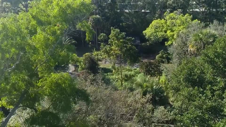 Wellness -A Journey of Transformation