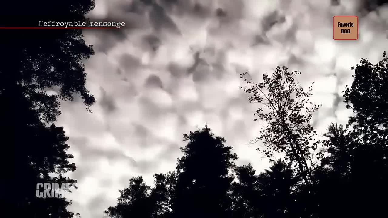 ⁣CRIMES _ L’effroyable mensonge _ Alliance fatale