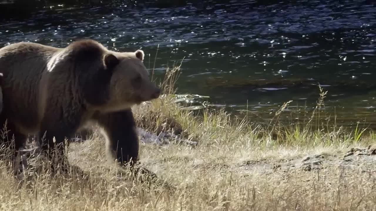 ⁣Living in the Future's Past  with Jeff Bridges