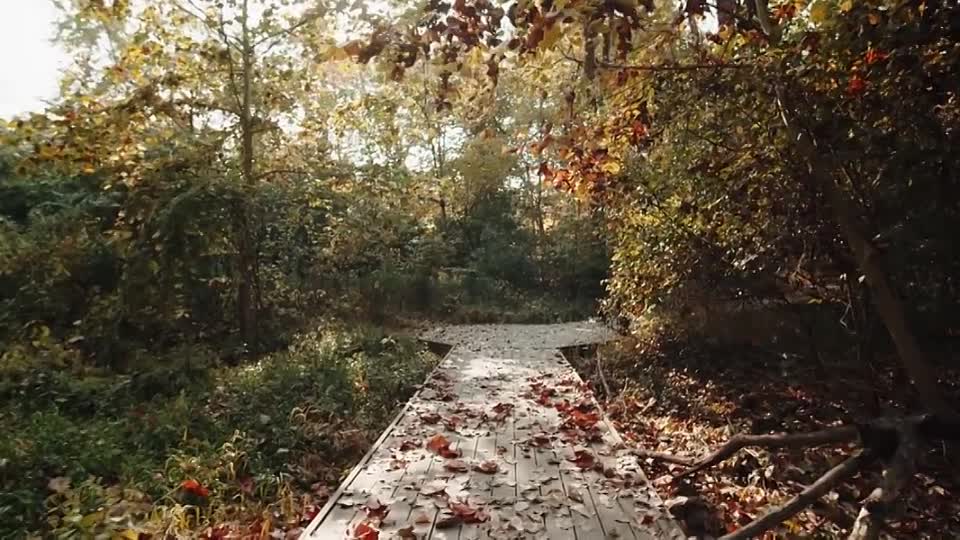 The Art of Gratitude