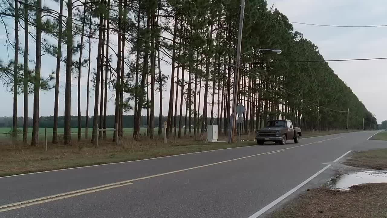 Like Dandelion Dust (2009)