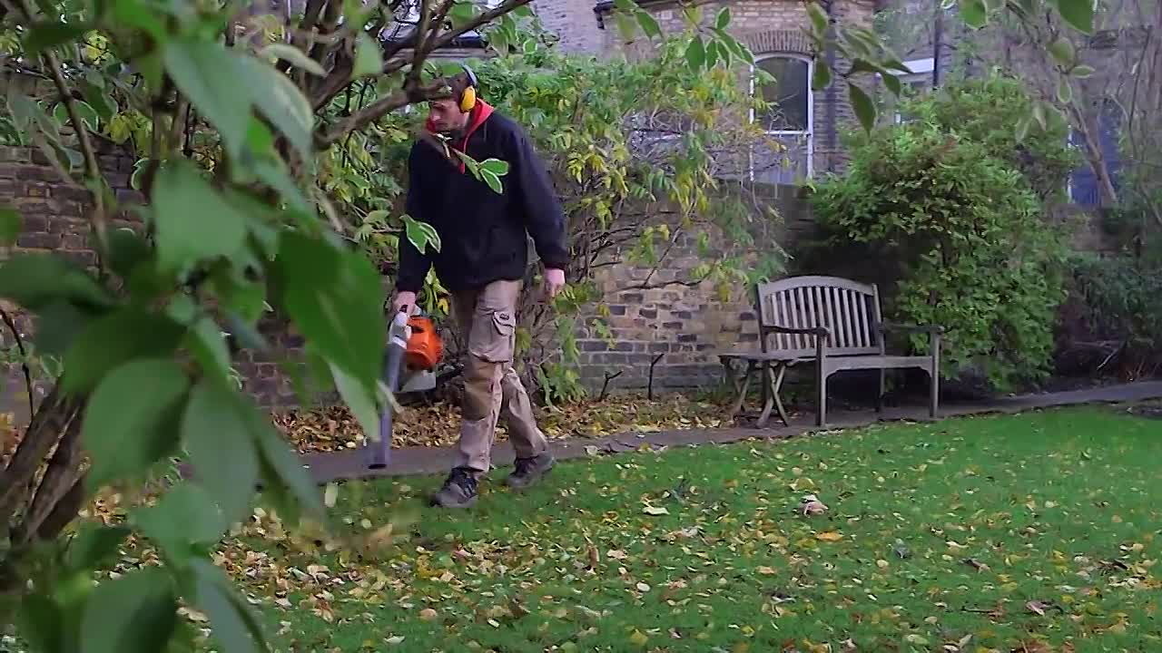 Posh Neighbors at War