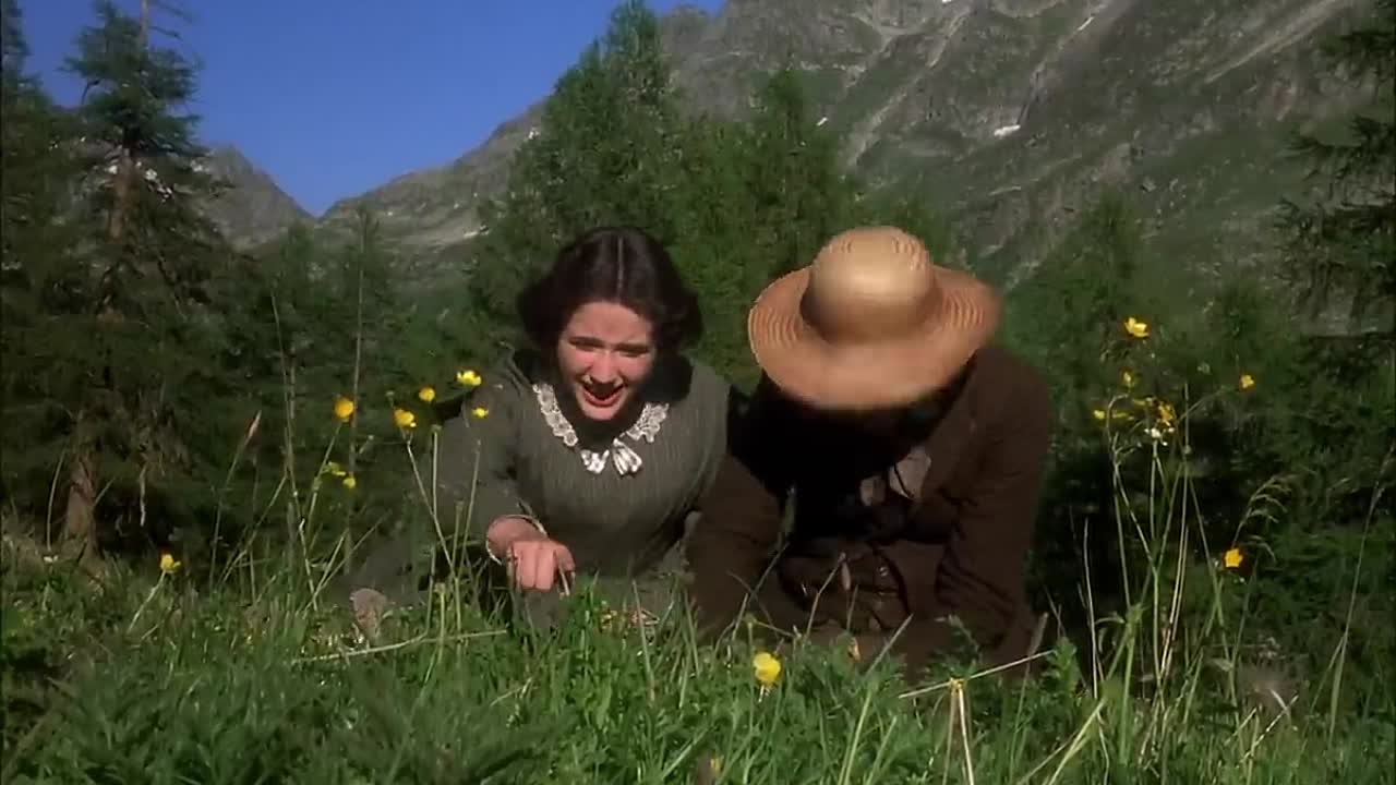 American Friends (1991)