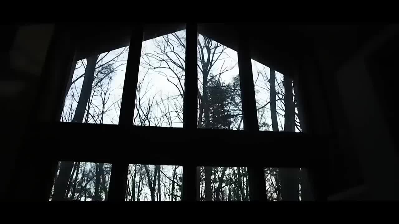 The Wrong House (2009)