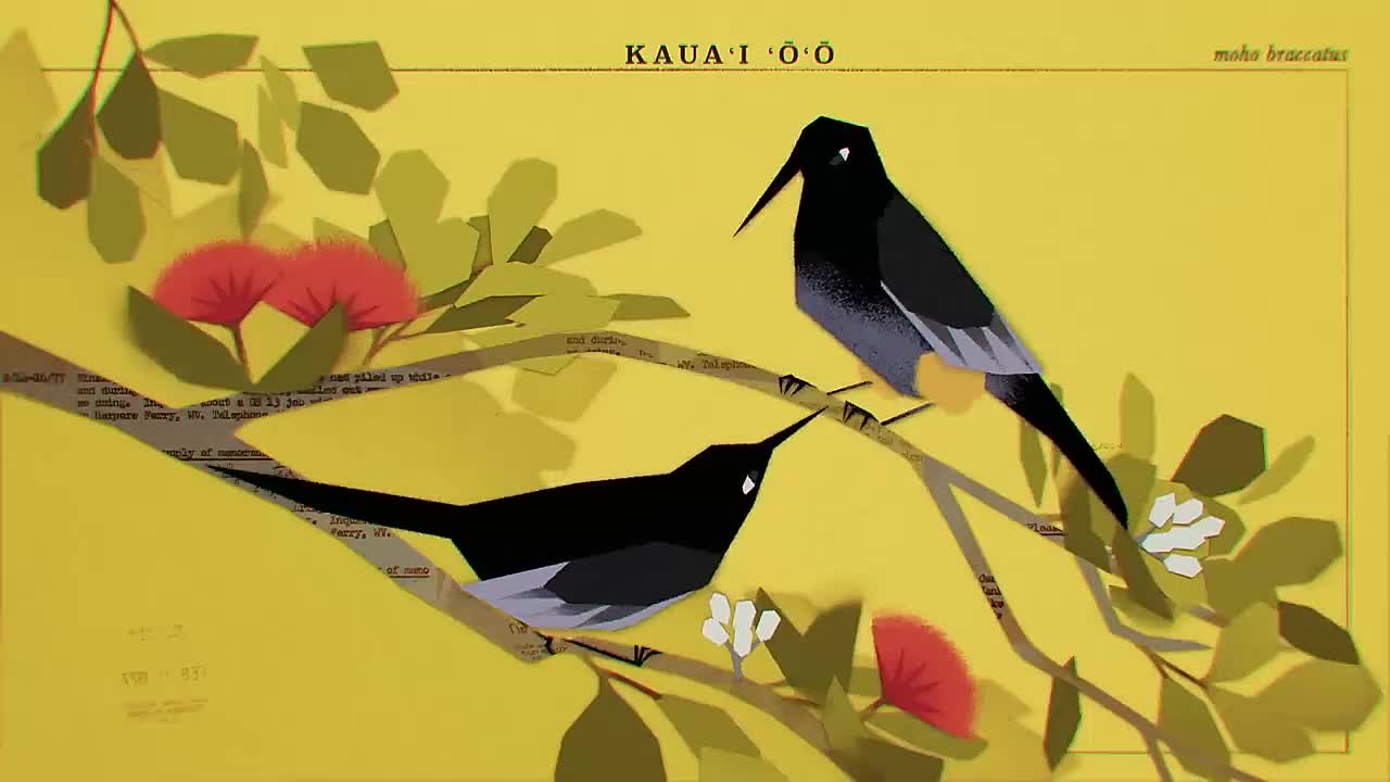 Birdsong (CalArts Film 2022)