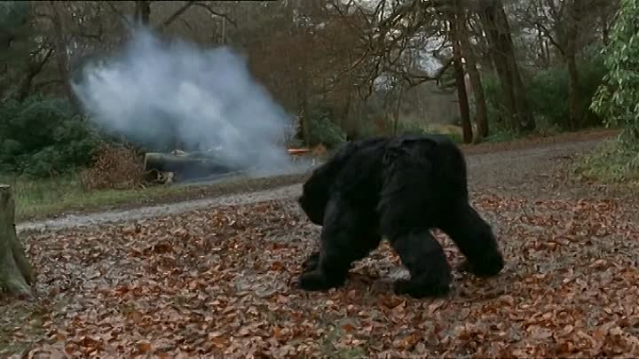 Micawber S01E03 Micawber Meets The Americans