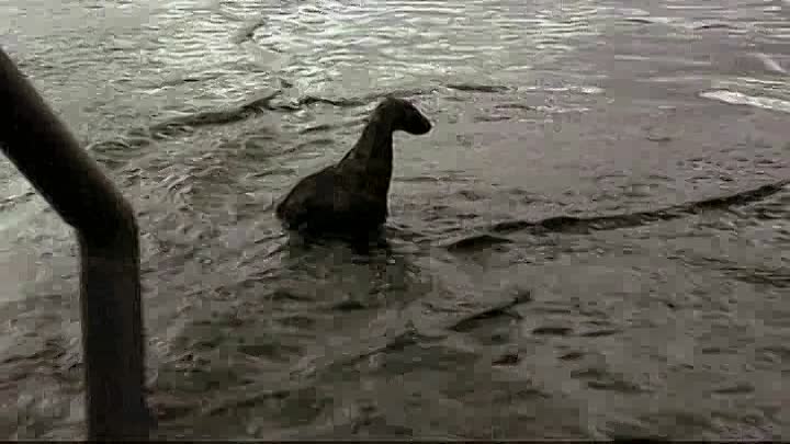 Atari Game Over 2014 BRRip XviD MP3-RARBG