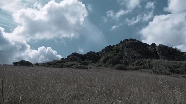 Battle for Sevastopol 2015 BRRip x264 AAC-SSN