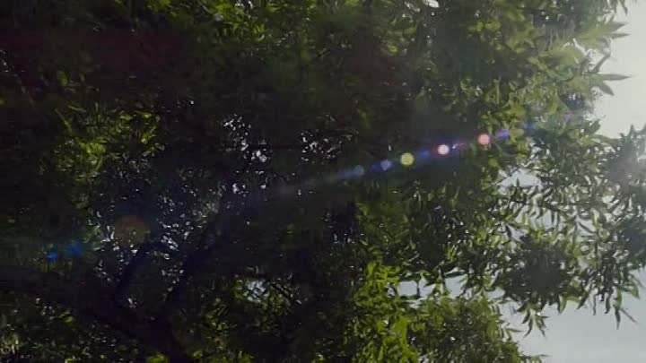 Beyonce Life is but a Dream 2013 HDTV XviD-AFG www RapidMovieZ com