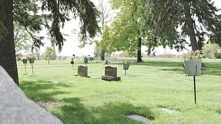 Black in Minneapolis 2020 HDRip XviD AC3-EVO