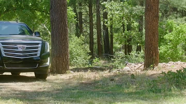 ⁣Carolinas Calling 2021 HDRip XviD AC3-EVO