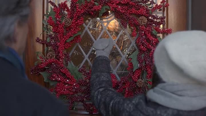 Carrie Pilby 2016 HDRip XviD AC3-EVO