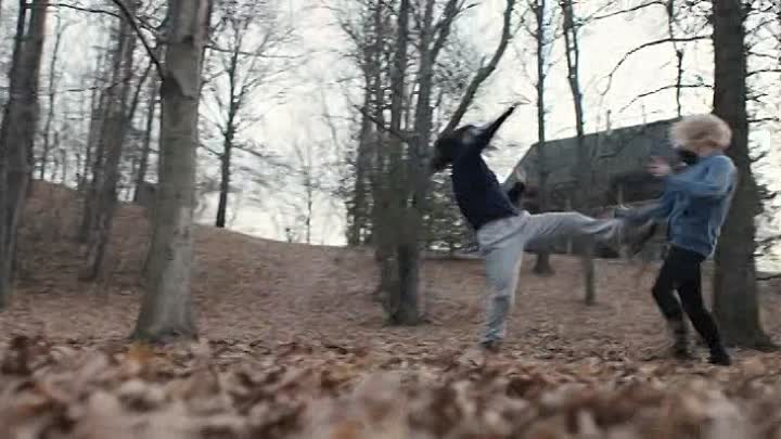 Catfight 2016 BRRip XviD AC3-EVO