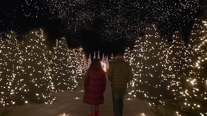 Christmas with You 2022 HDRip XviD AC3-EVO